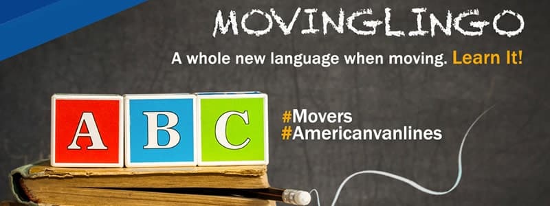 Moving Lingo