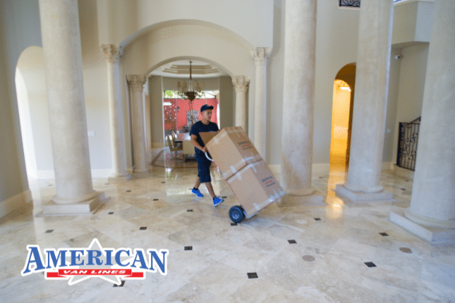 Long-Distance Movers in Palm Beach